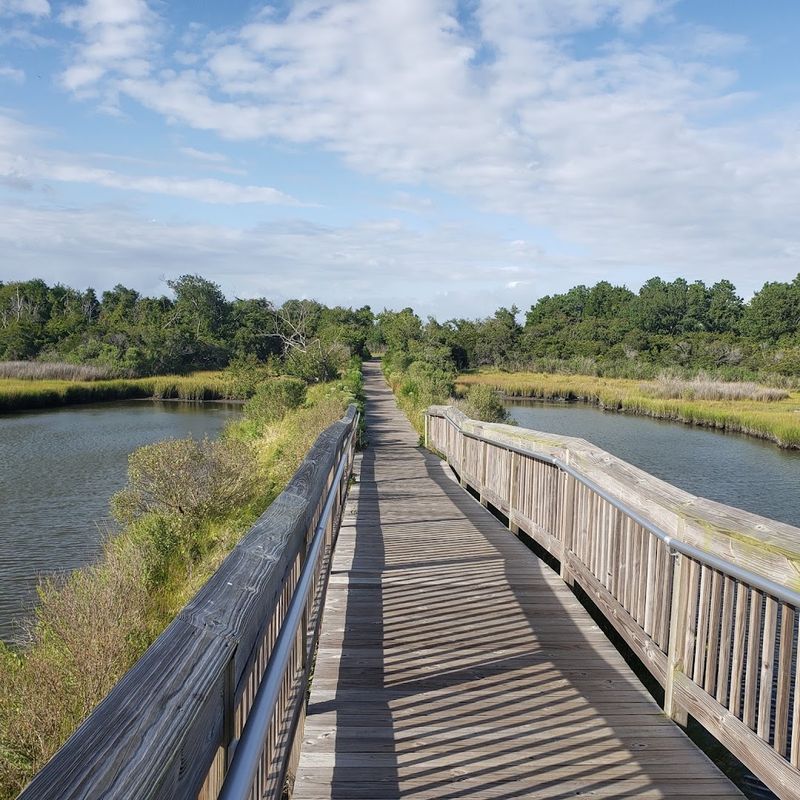 Soaking Up the Charm of Chincoteague Island Town Soaking Up the Charm of Chincoteague Island Town