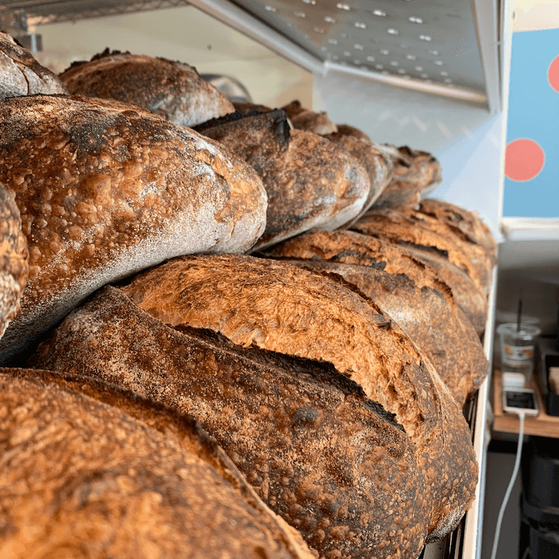 Sourdough That Earned Texas Its Bread Crown Sourdough That Earned Texas Its Bread Crown