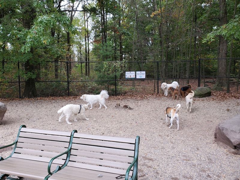 South Mountain Dog Park