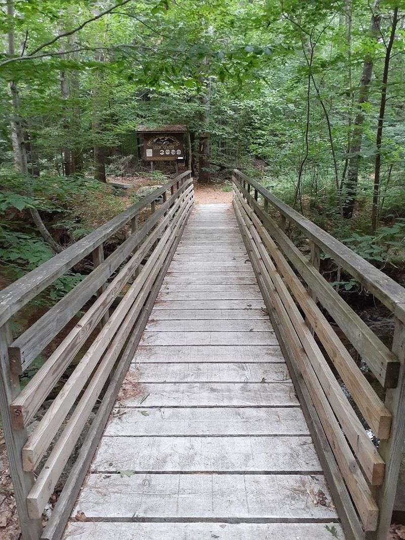 Spacious Forest Enclosures Built With the Animals in Mind