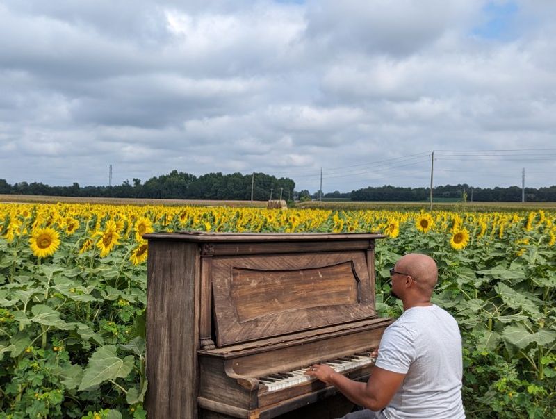 Special Events and Unique Experiences: More Than Just a Pretty Field