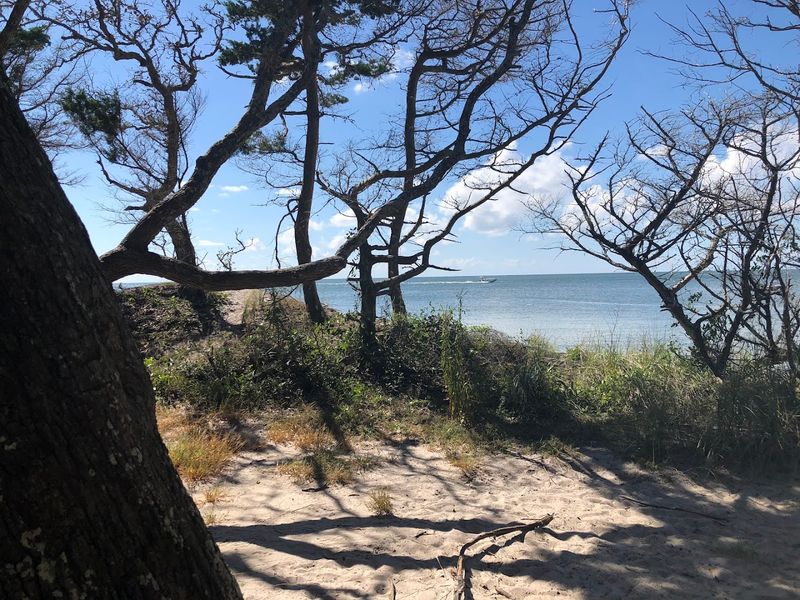 Springer's Point Nature Preserve