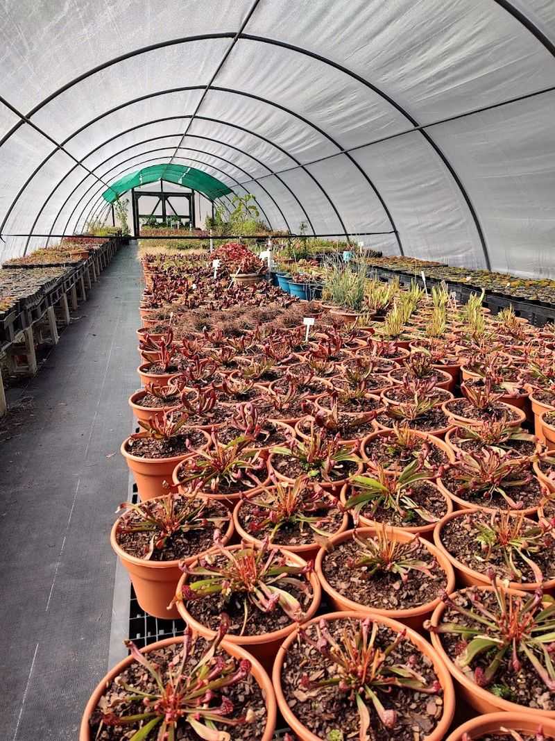 Staff Knowledge That Rivals Any Master Gardener Staff Knowledge That Rivals Any Master Gardener