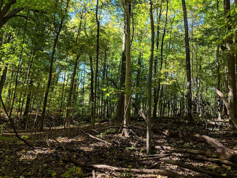 Stand on the St. Lawrence River Divide