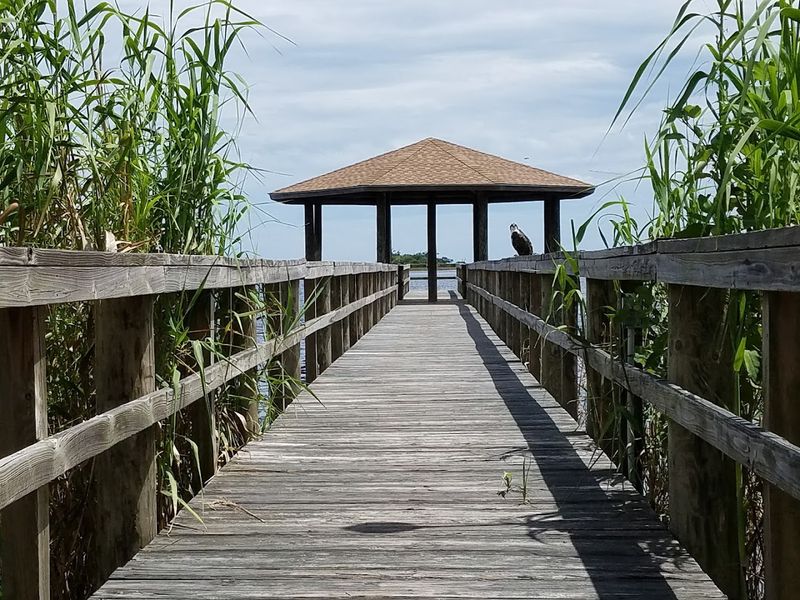 Standout Trails Within the Trail System