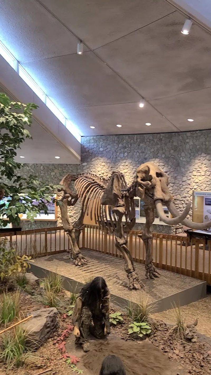 Start Inside The Museum First Start Inside The Museum First