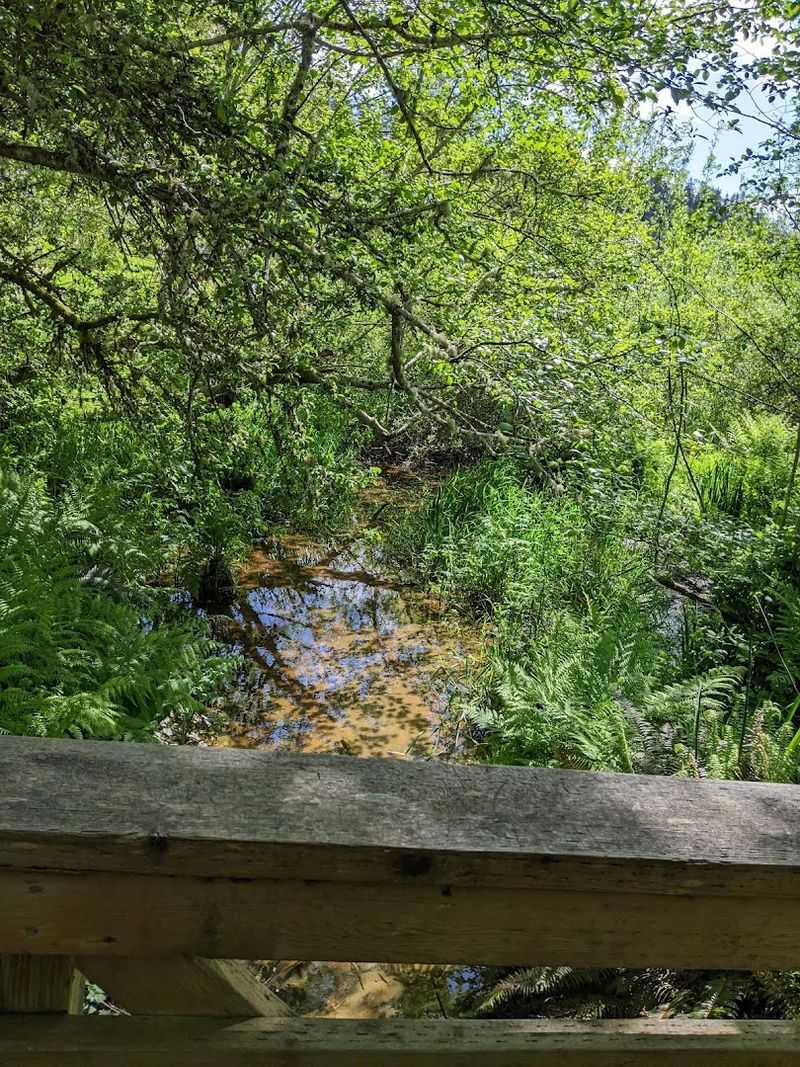 Starting Point at Lagoon Road Trailhead