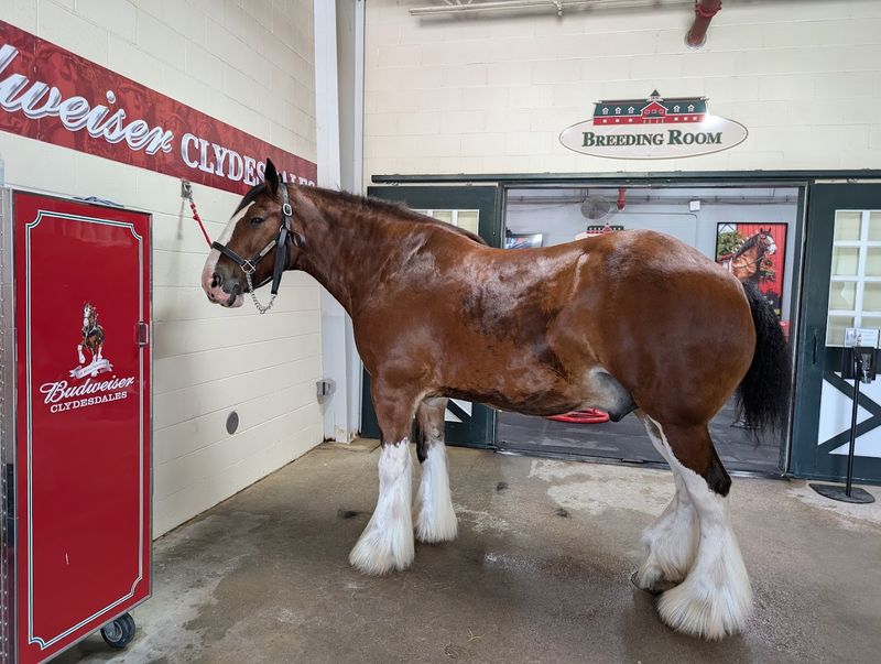 Stepping Into The Working Heart Of The Ranch