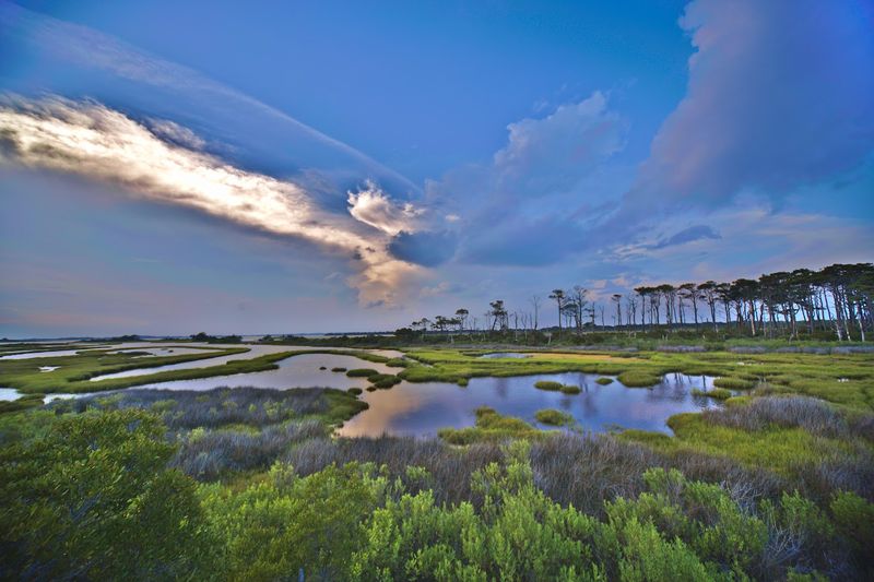 Stepping Onto Assateague Island, Virginia's Wild Frontier Stepping Onto Assateague Island, Virginia's Wild Frontier