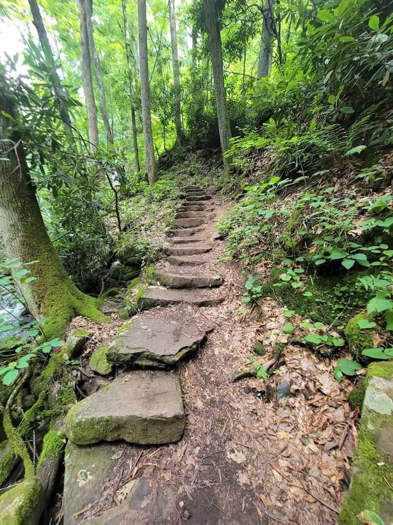 Stone Stairs, Bridge Crossings, and the Trail's Crafted Details