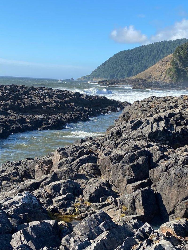 Strawberry Hill Wayside – 5 Miles South of Yachats, OR Strawberry Hill Wayside – 5 Miles South of Yachats, OR