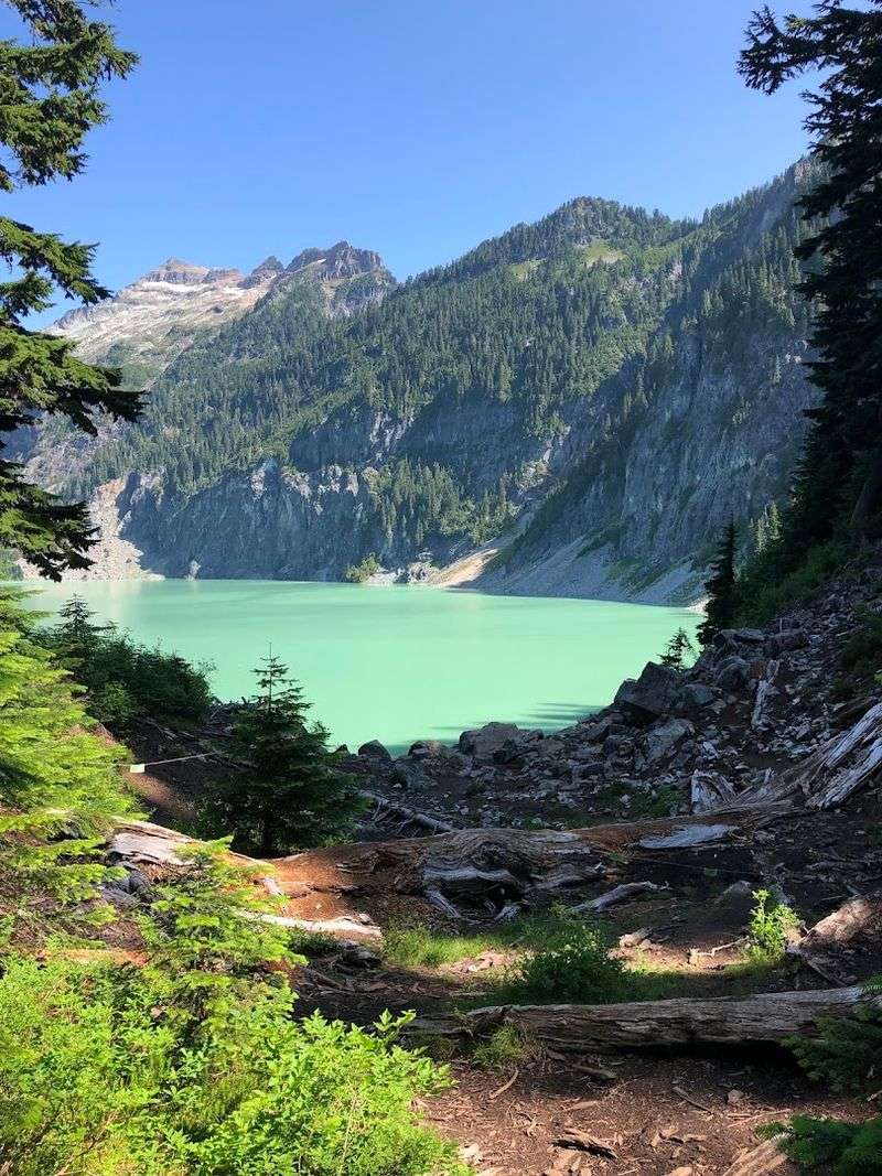 Sub-Alpine Meadows and the Calm of Virgin Lake Sub-Alpine Meadows and the Calm of Virgin Lake
