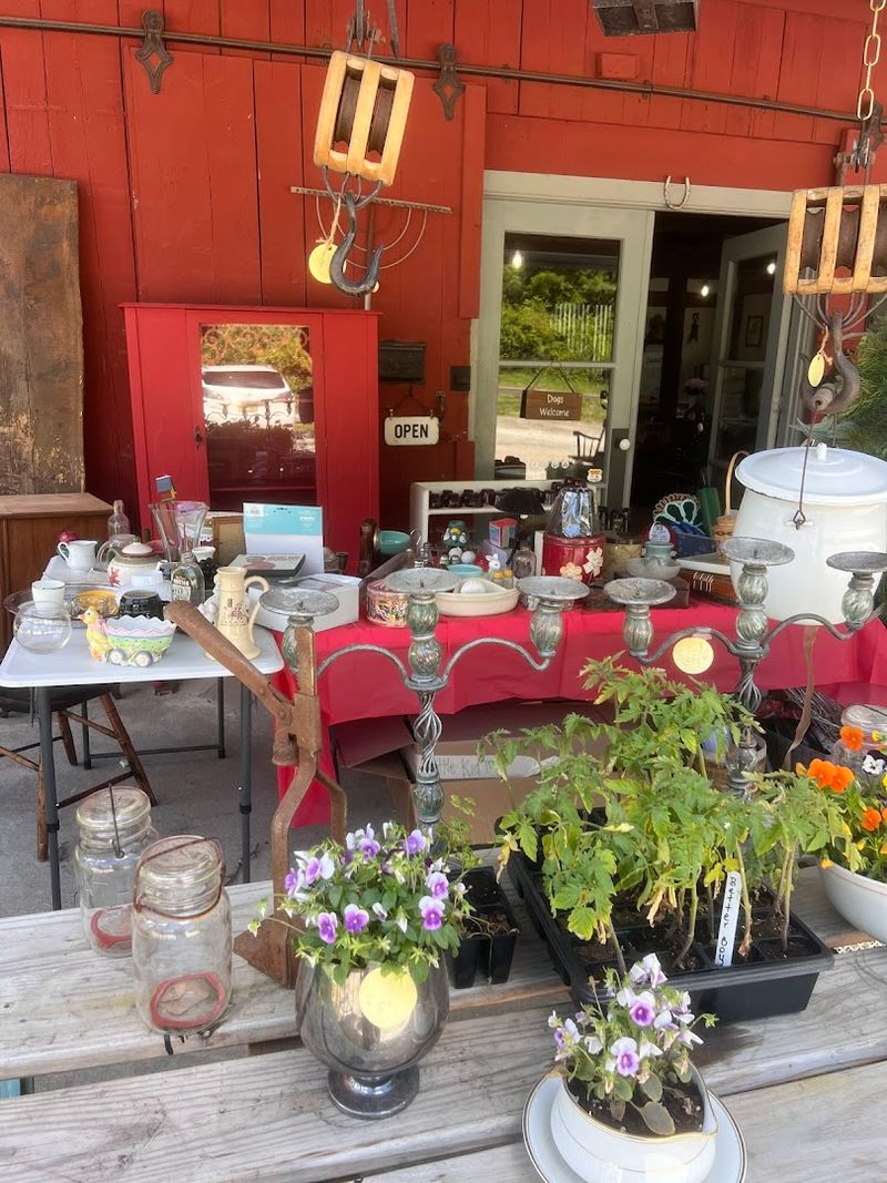 Sustainability at the Heart of Everything Sold Here