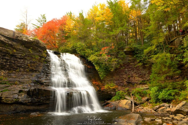 Swallow Falls State Park, Maryland's Best Kept Waterfall Secret