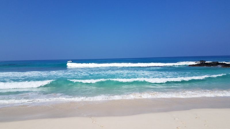 Swimming, Snorkeling, and Watching the Ocean Do Its Thing