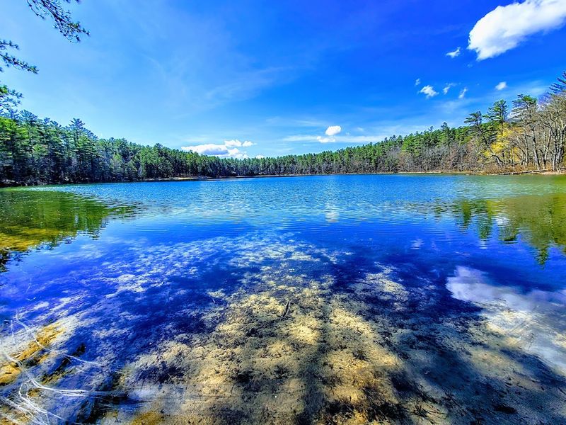 Swimming in a Lake That Looks Too Pretty to Be Real