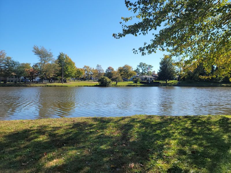 Fishing At The Pond, A Surprisingly Good Time Fishing At The Pond, A Surprisingly Good Time