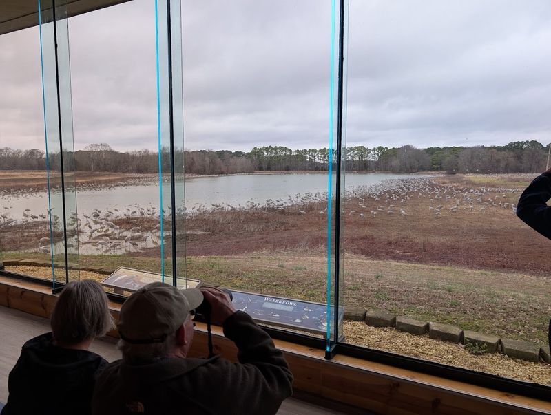Take In an Exceptional Birdwatching Experience Take In an Exceptional Birdwatching Experience