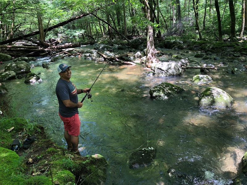 Taking the Plunge, The Experience of Swimming in Mountain Water Taking the Plunge, The Experience of Swimming in Mountain Water