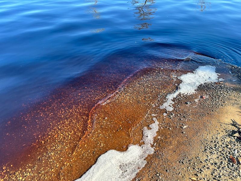 Tea-Colored Water That Is Surprisingly Pure