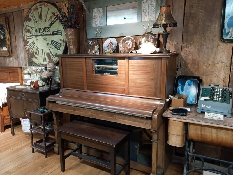 Texas Art and Regional Finds Worth Bringing Home