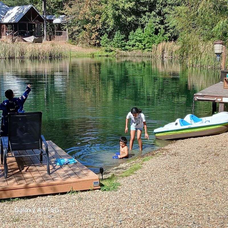 That Stocked Pond Is The Whole Mood That Stocked Pond Is The Whole Mood