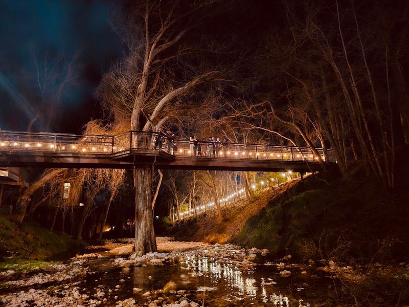 The 100-Foot Pedestrian Bridge Experience