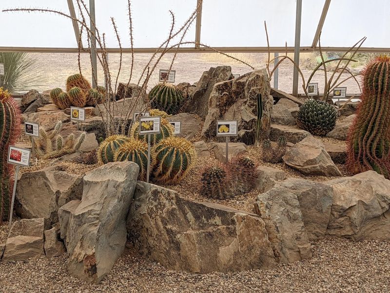 The 18-Acre Botanical Garden and Trans-Pecos Natives Trail The 18-Acre Botanical Garden and Trans-Pecos Natives Trail