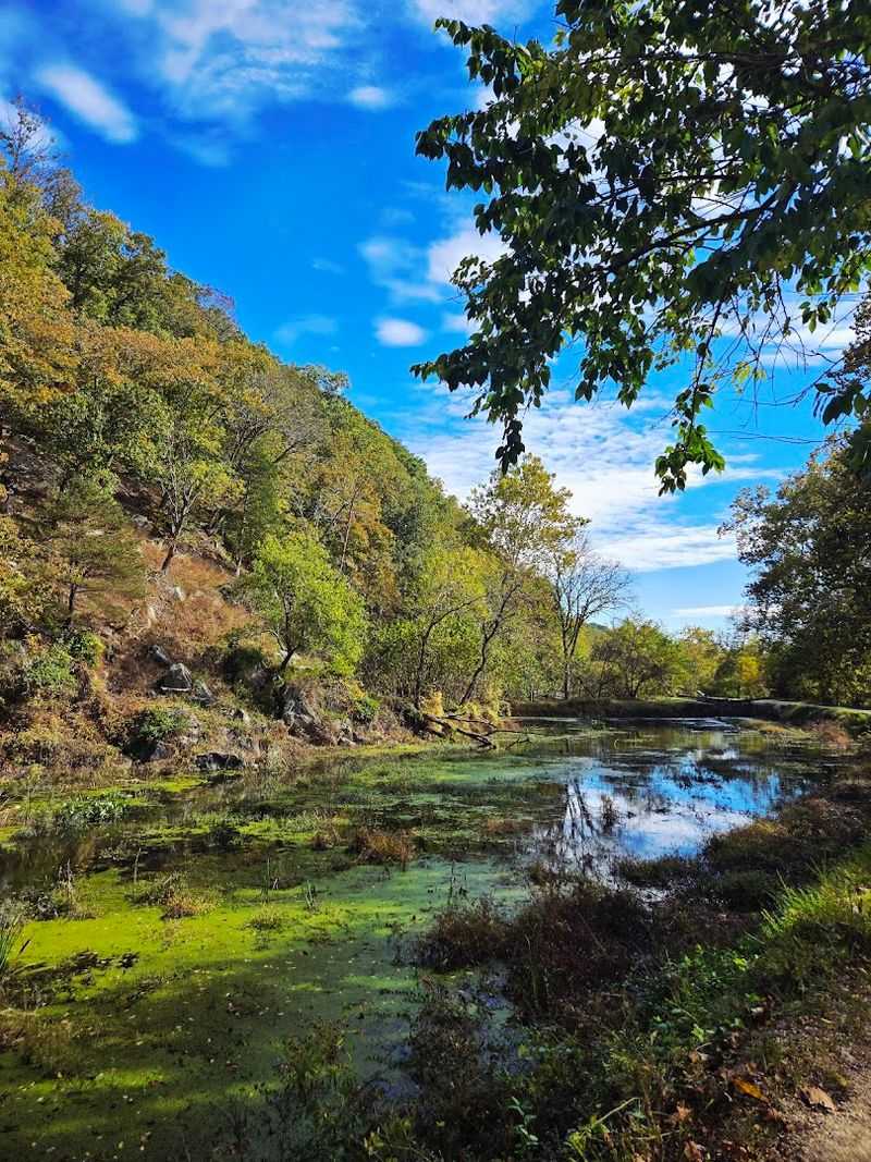 The 185-Mile Towpath, a Trail Unlike Any Other The 185-Mile Towpath, a Trail Unlike Any Other