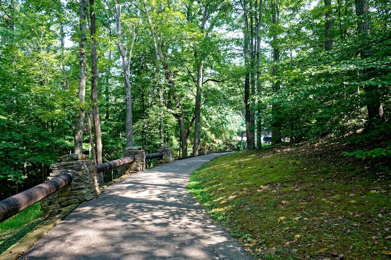 The ADA-Accessible Paved Path to the Overlook The ADA-Accessible Paved Path to the Overlook