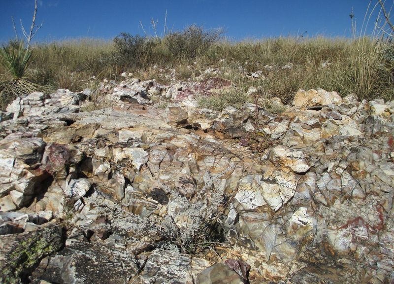 The Alibates Flint Quarries and Ancient Human History