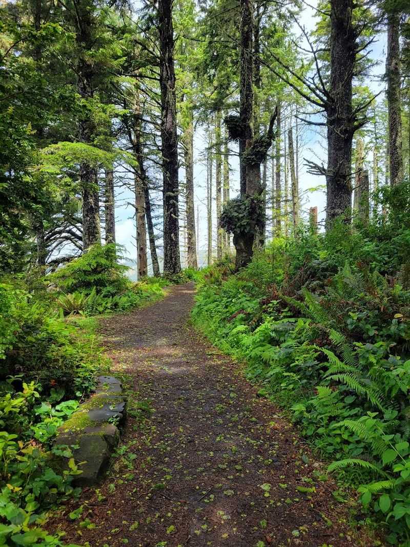 The Amanda Trail and the Longer Adventure
