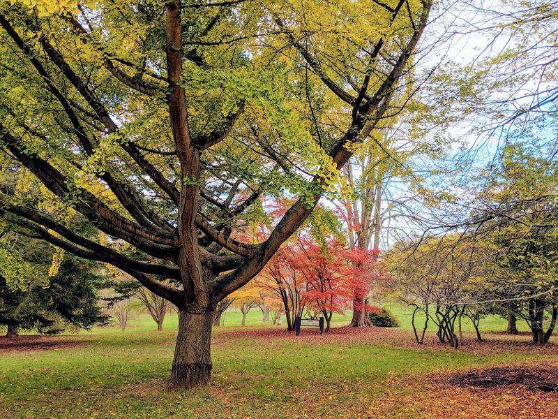 The Arboretum That Started Small And Dreamed Big The Arboretum That Started Small And Dreamed Big