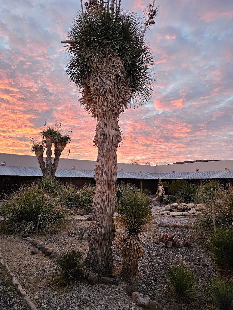 The Barton Warnock Visitor Center, An Interpretive Start The Barton Warnock Visitor Center, An Interpretive Start