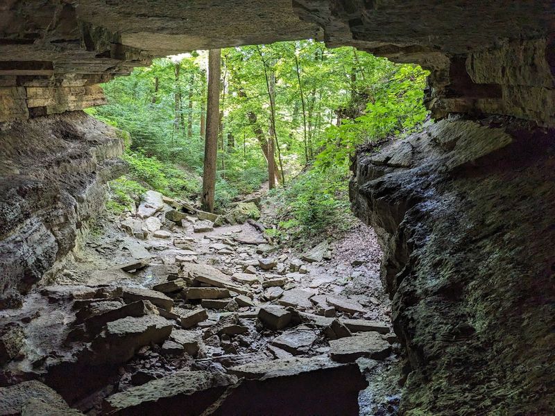 The Bat Connection: Why the Tunnel Was Seasonally Closed The Bat Connection: Why the Tunnel Was Seasonally Closed