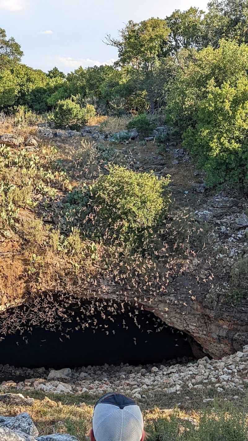 The Bat-nado, Nature's Most Jaw-Dropping Exit