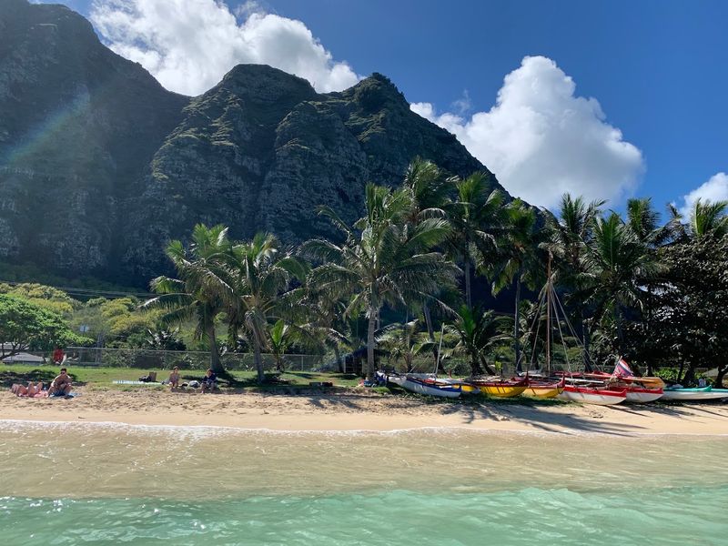 The Beach Park Setup, Shade, Picnics, and Real Local Vibes