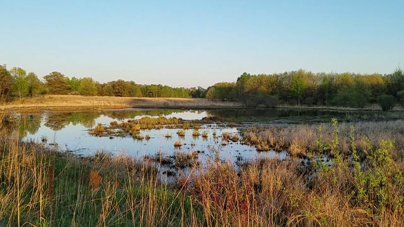 The Beaver Lodge Loop And Its Observation Blind The Beaver Lodge Loop And Its Observation Blind