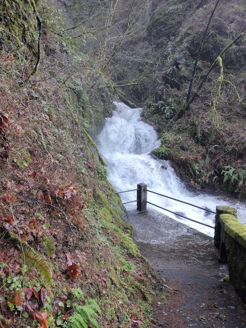 The Best Time of Year to Visit Shepperd's Dell