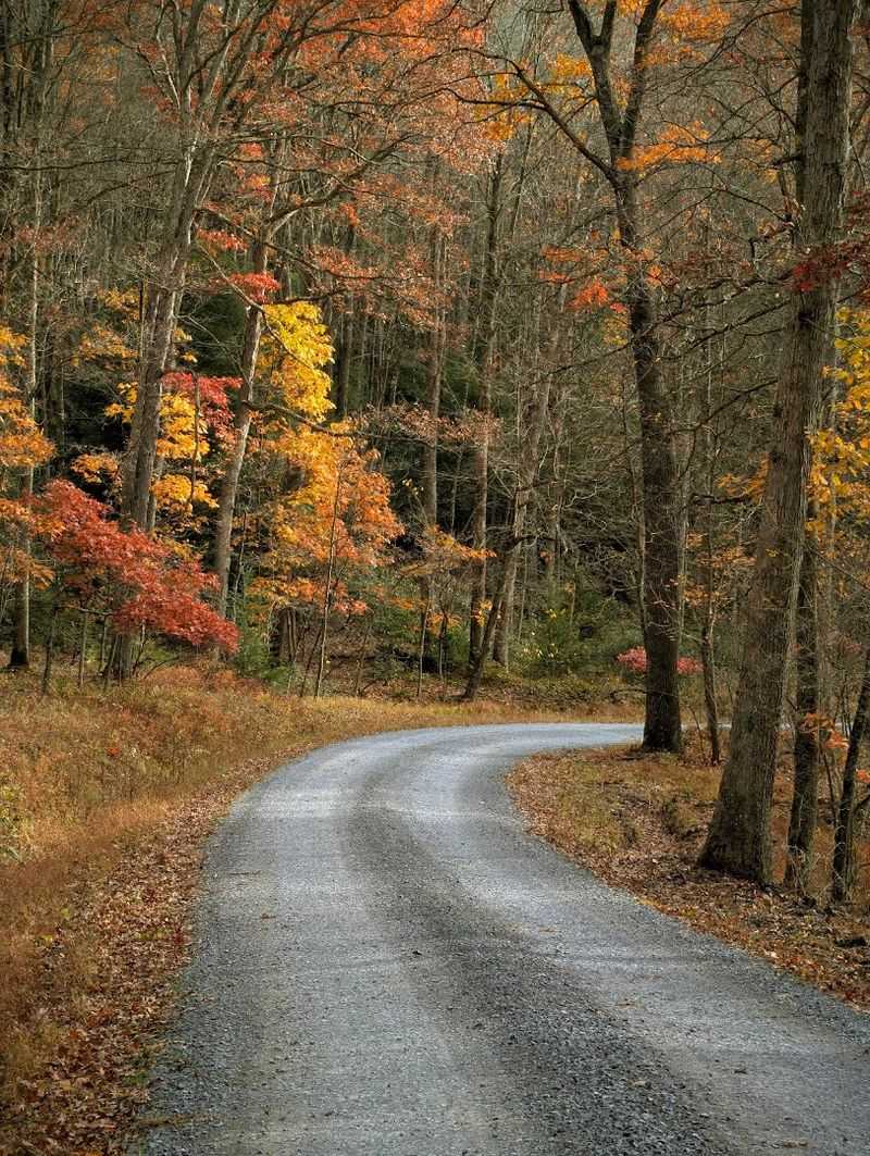 The Best Time to Visit and What to Expect Each Season