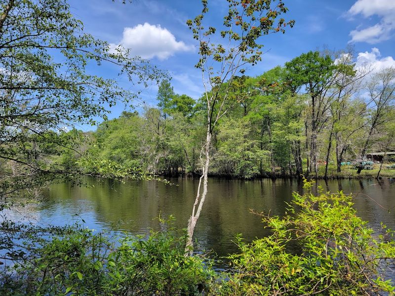 The Blackwater River That Earned National Recognition The Blackwater River That Earned National Recognition