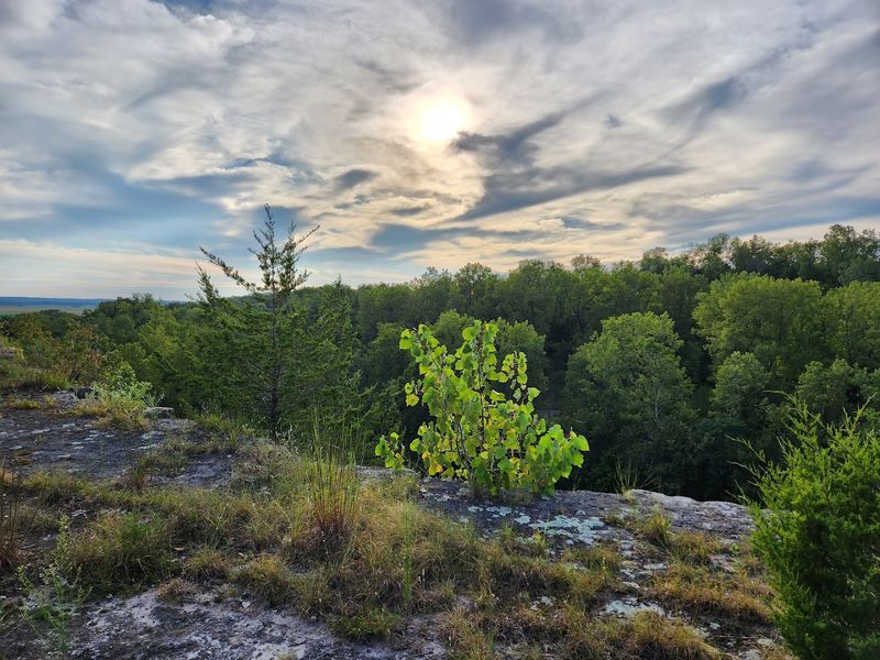 The Bluff Views Over The River
