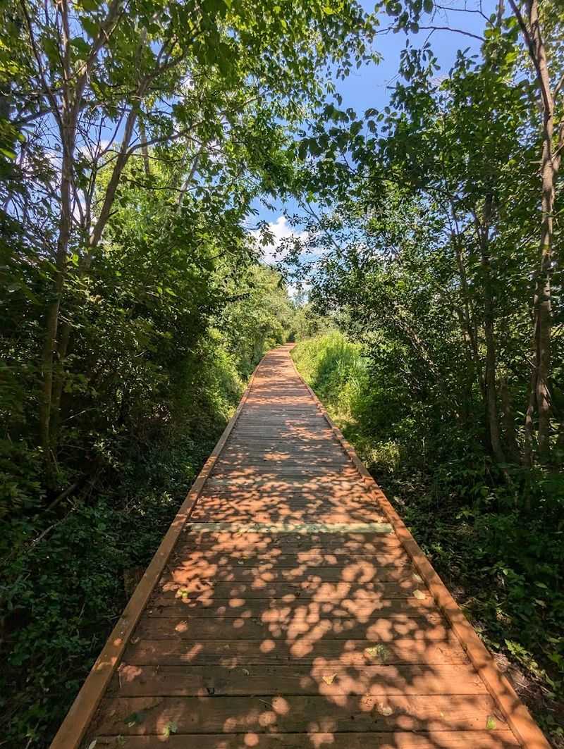 The Boardwalk Changes Your Perspective The Boardwalk Changes Your Perspective