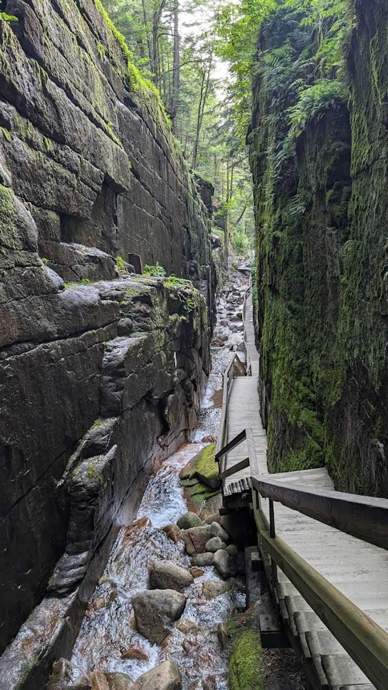 The Boardwalk That Changes Everything