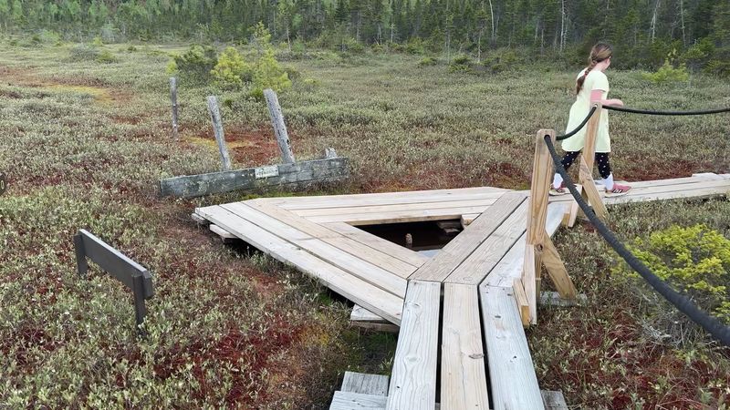 The Boardwalk That Makes It All Possible The Boardwalk That Makes It All Possible