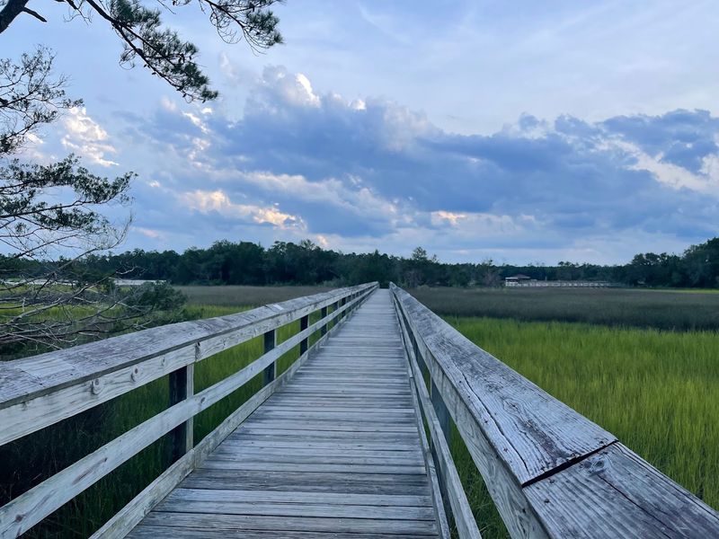 The Boardwalks That Wind Through Another World The Boardwalks That Wind Through Another World