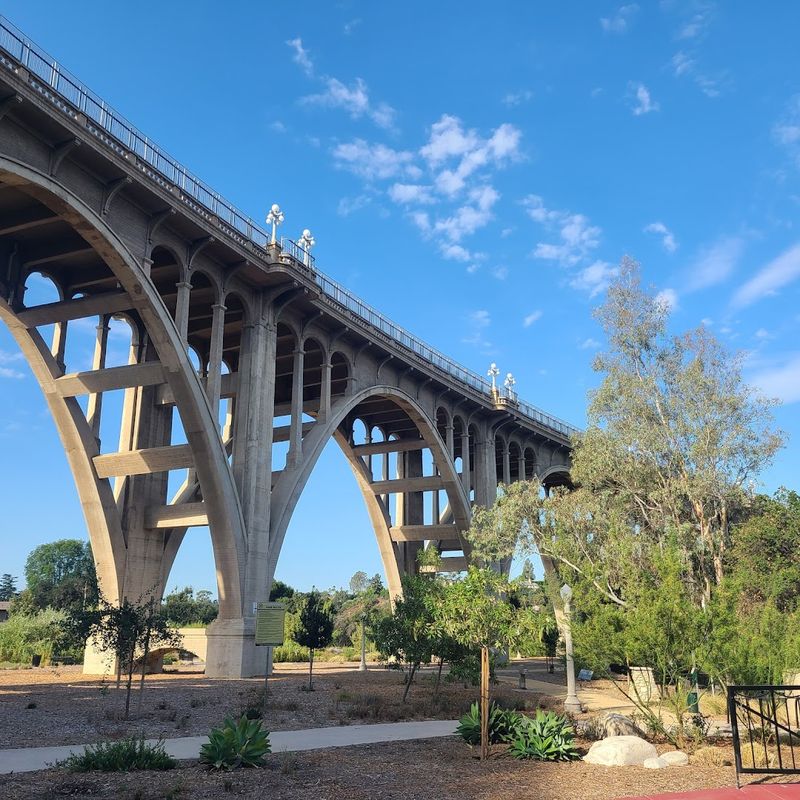 The Bridge That Beauty and Tragedy Built Together