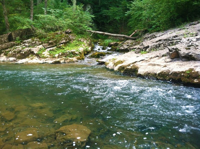 The Bullpasture River Up Close The Bullpasture River Up Close