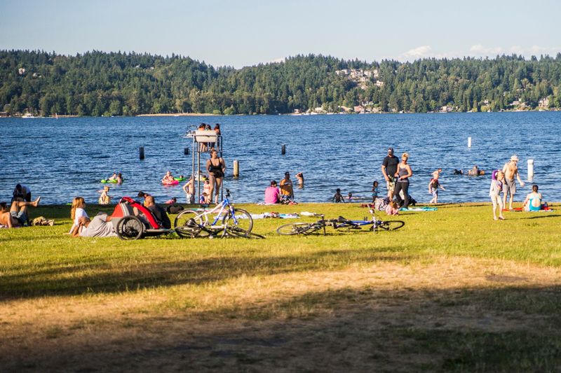 The Calm, Shallow Waters of Lake Washington The Calm, Shallow Waters of Lake Washington