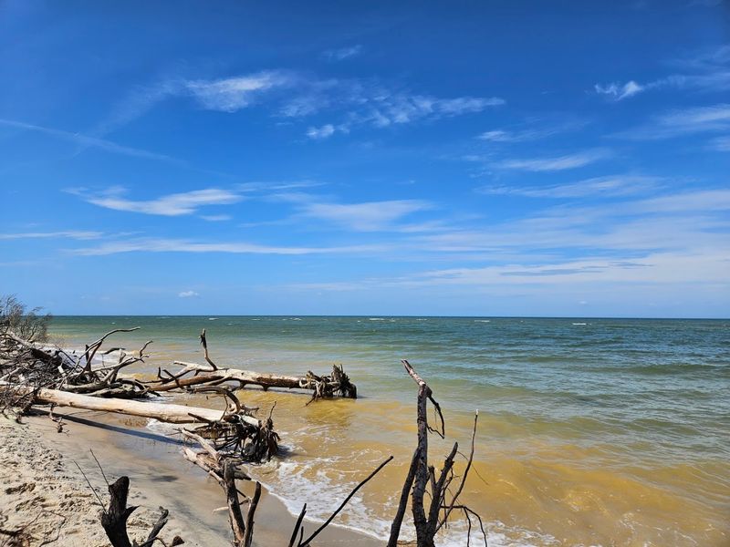 The Chesapeake Bay Shoreline That Feels Like a Secret The Chesapeake Bay Shoreline That Feels Like a Secret